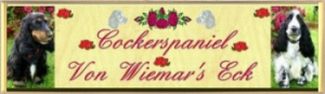 Cockerspaniel Von Wiemar's Eck