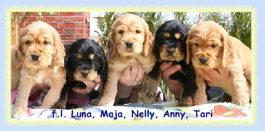 f.l. Luna, Maja, Nelly, Anny, Tari