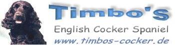 Timbo's